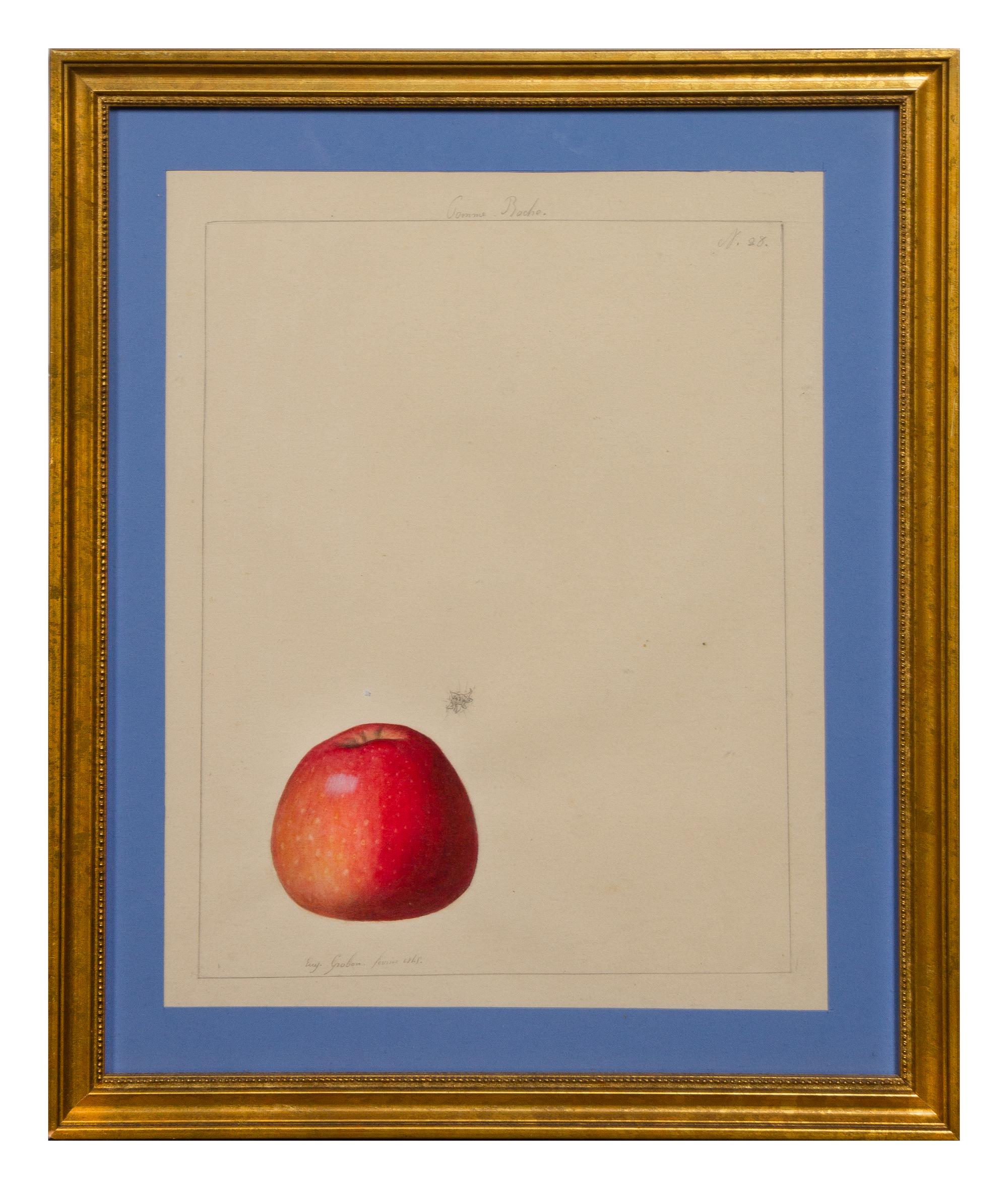 Anthelme-Eugène Grobon, (French, 1820-1878), Pomme Boche, 1845
