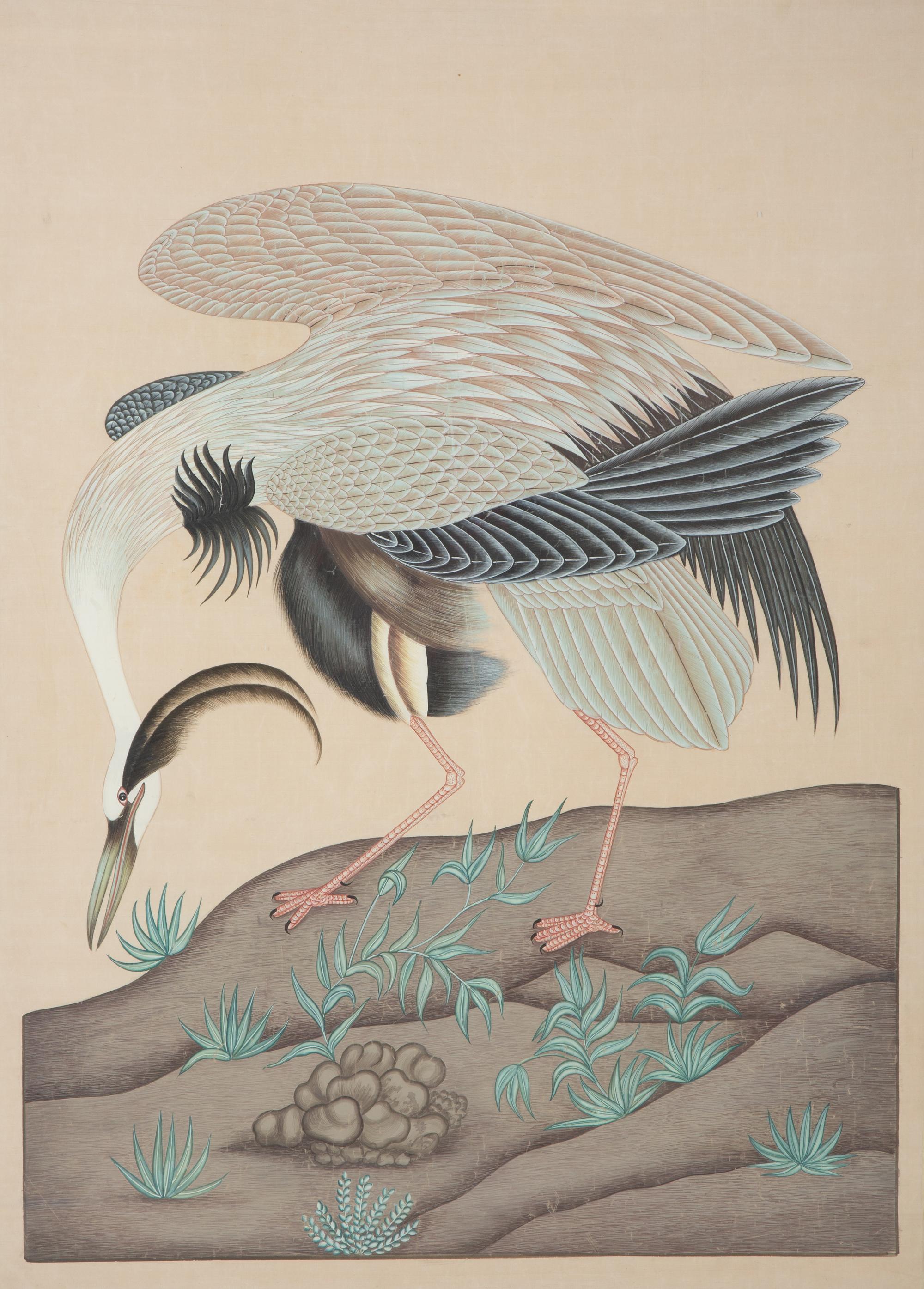 Two Chinese Paintings of Exotic Birds in Floating Glass Frames