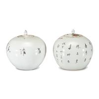 A Pair of Chinese Famille Rose Bird Decorated Porcelain Ginger Jars