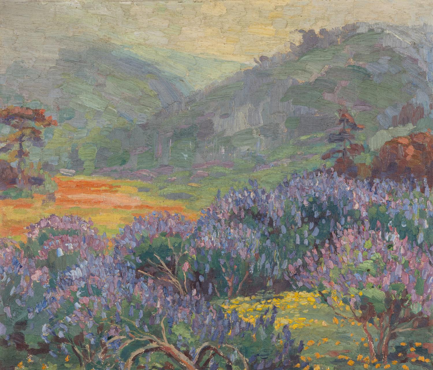 Purple and Gold Hills