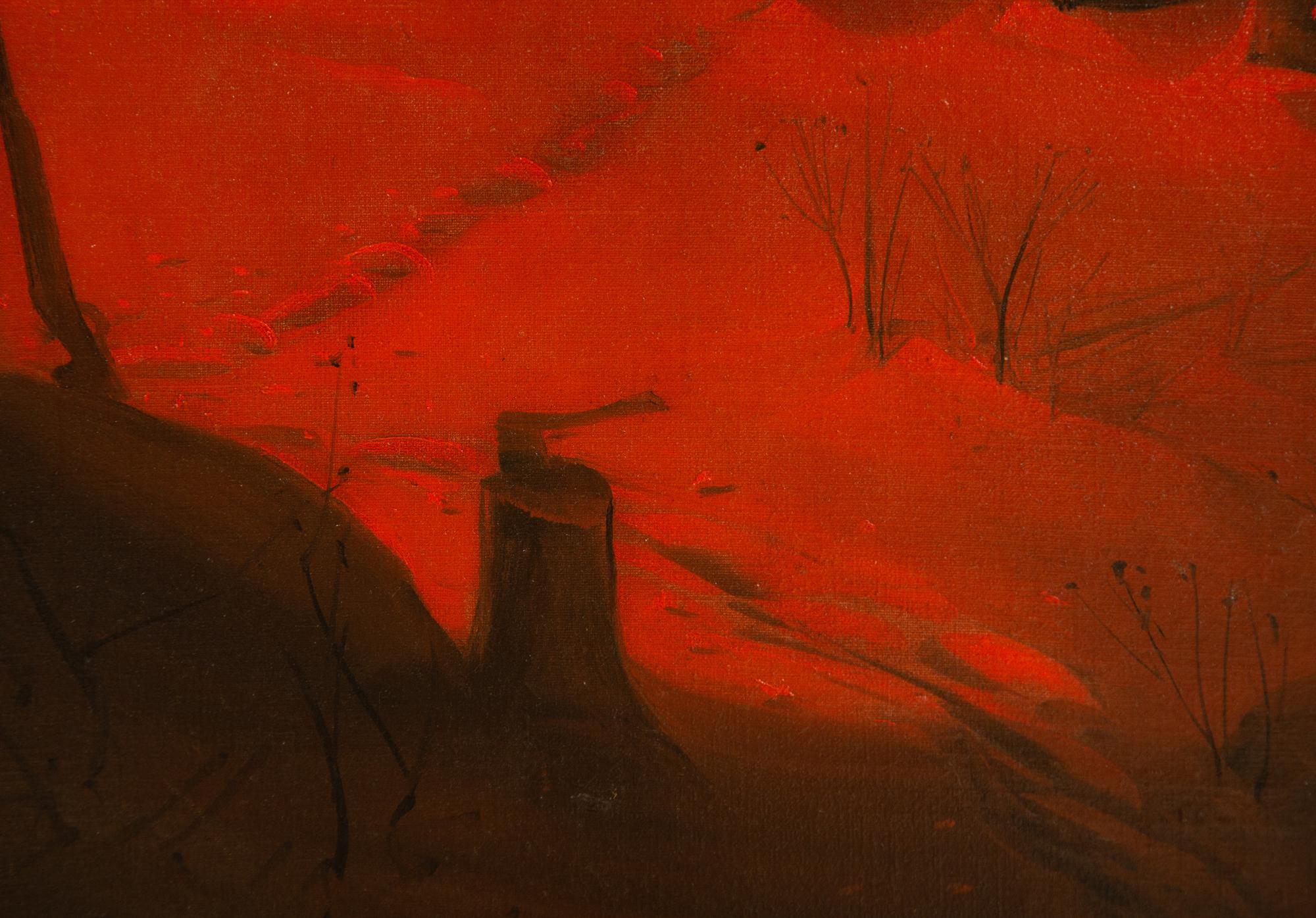 Red Twilight in the Snow