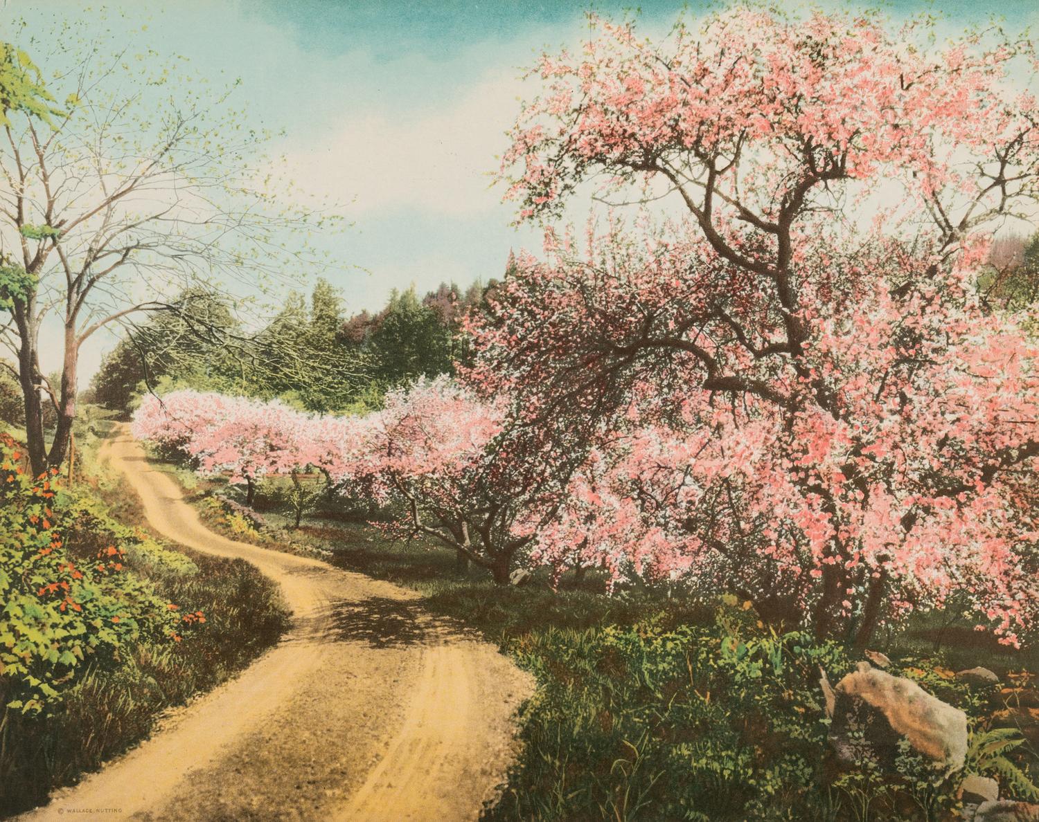 Wallace Nutting (American, 1861-1941)