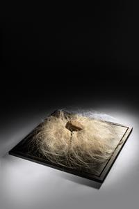 Untitled (Horsecollar)