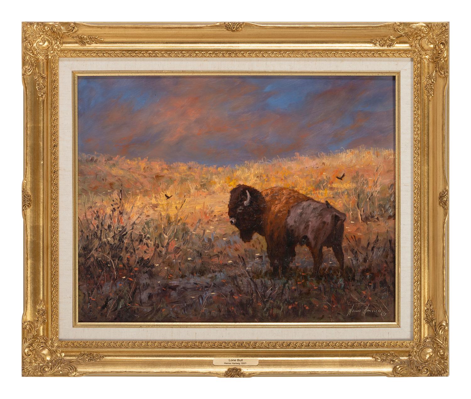 Lone Bull