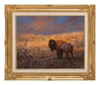 Lone Bull