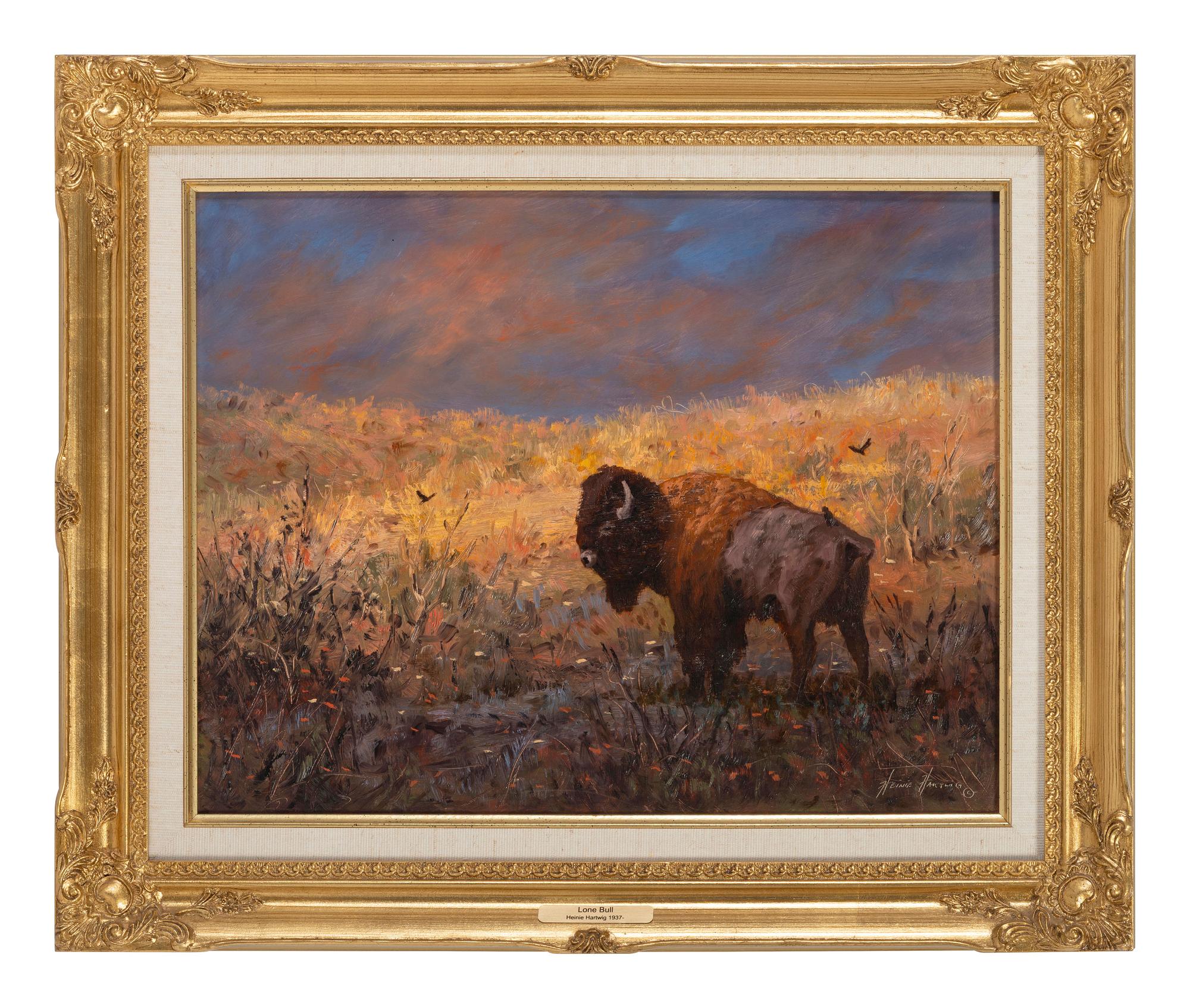 Lone Bull