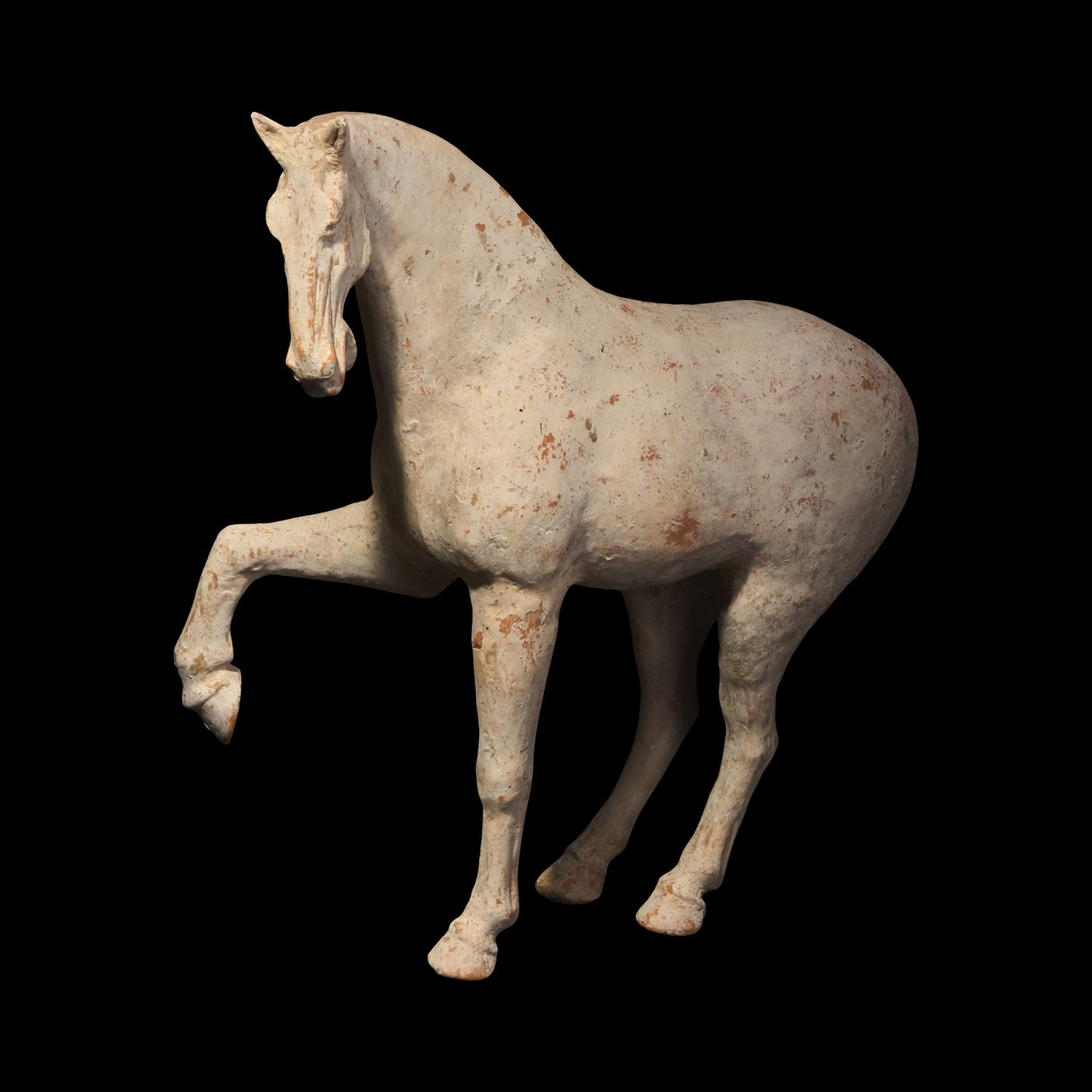 A Large Chinese Pottery Figure of a Prancing Horse, Tang Dynasty — 唐 白陶馬