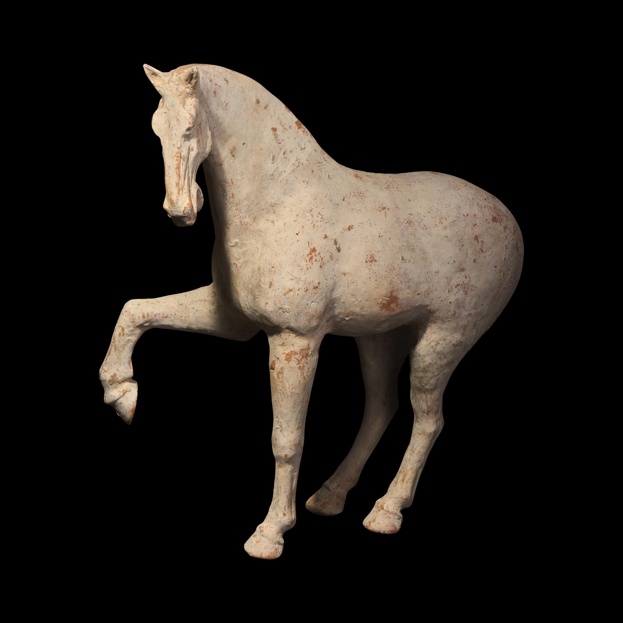 A Large Chinese Pottery Figure of a Prancing Horse, Tang Dynasty — 唐 白陶馬