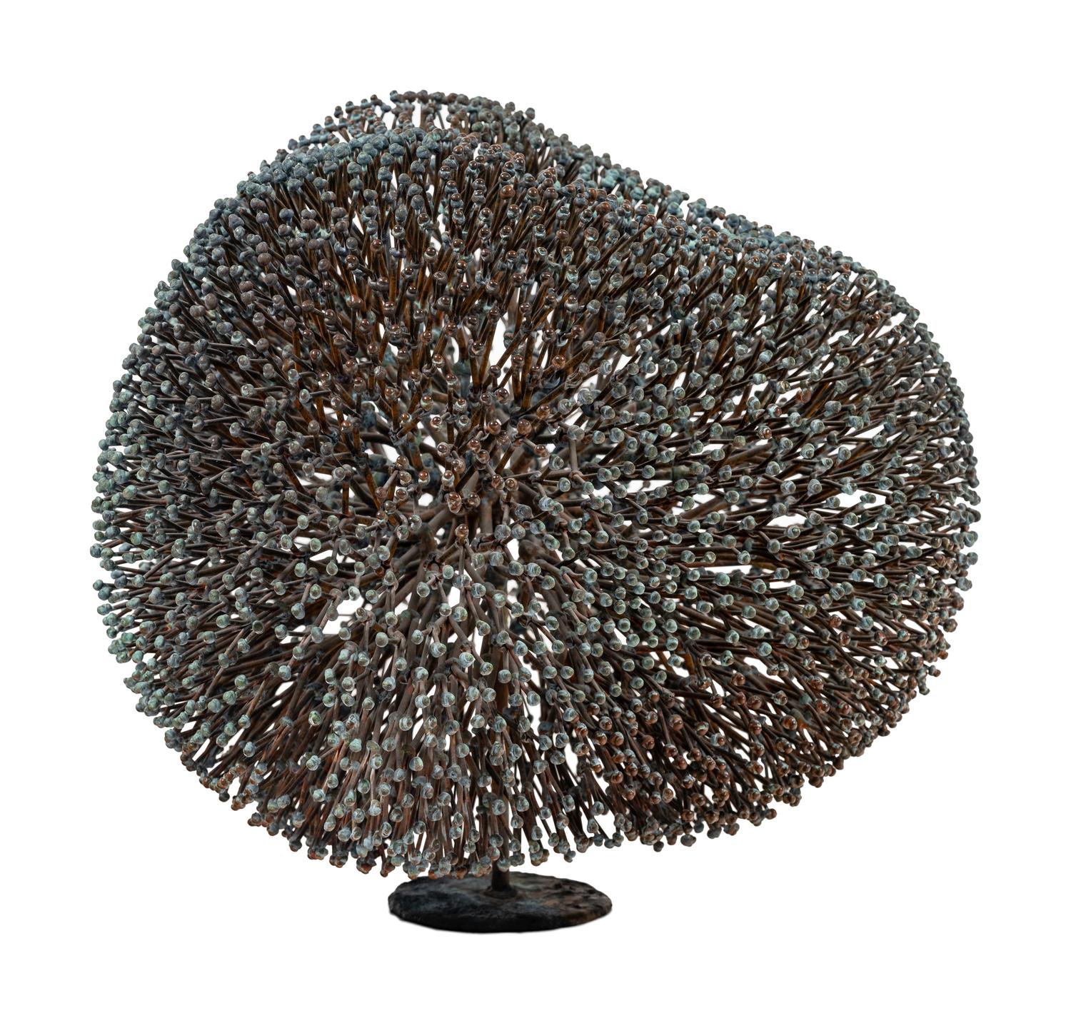 Untitled (Bush)