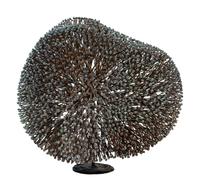 Untitled (Bush)