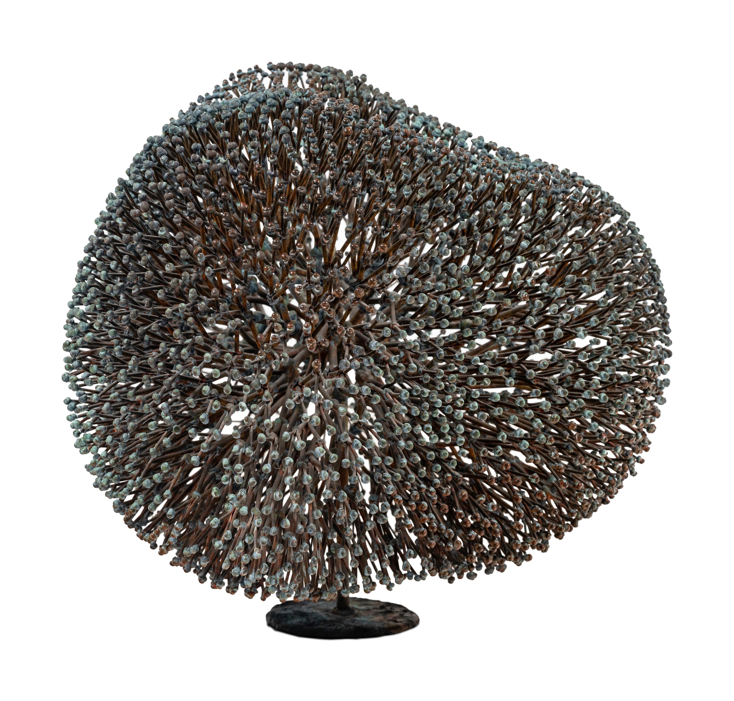 Untitled (Bush)