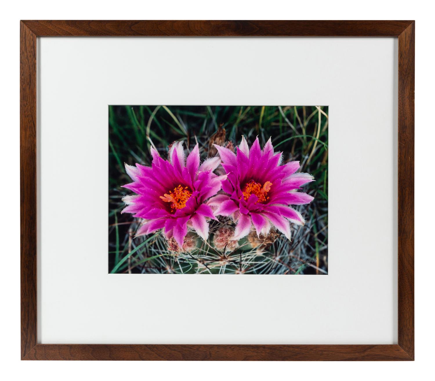 Prairie Vision: Images from a Sea of Grass (2002) Twenty Color Photographs