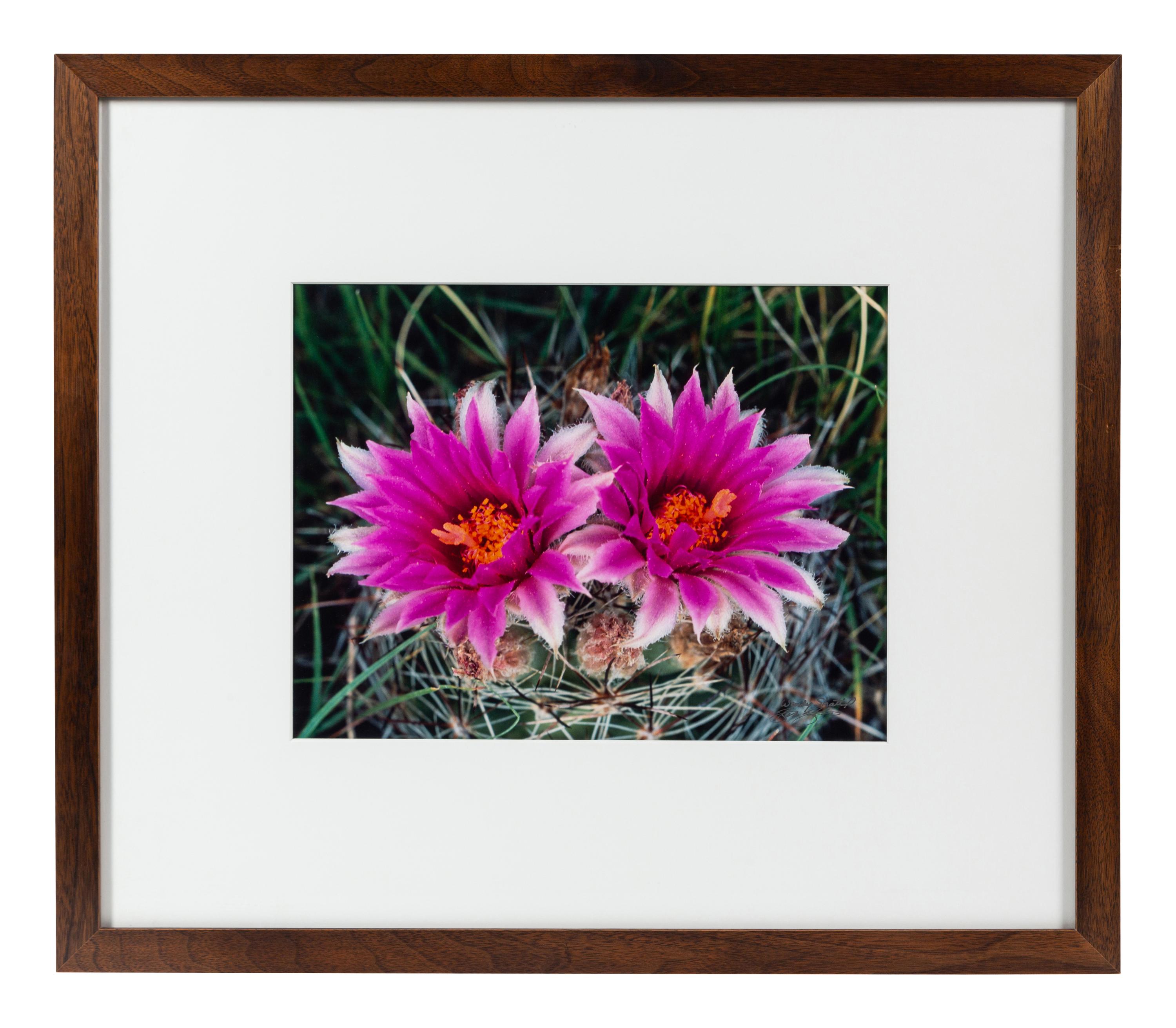 Prairie Vision: Images from a Sea of Grass (2002) Twenty Color Photographs