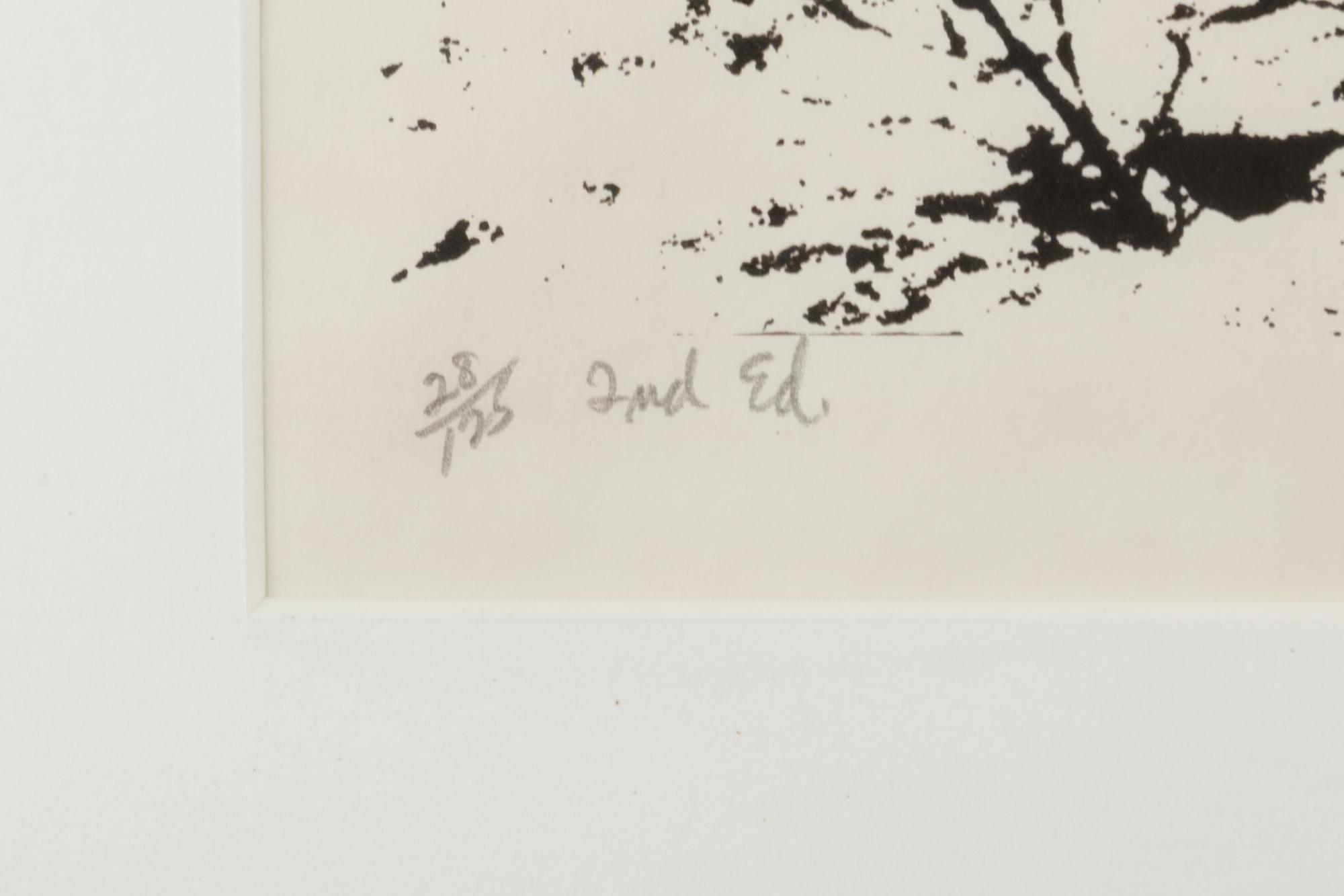 Mountain Grove, 1975 and Sunflowers After, 1972