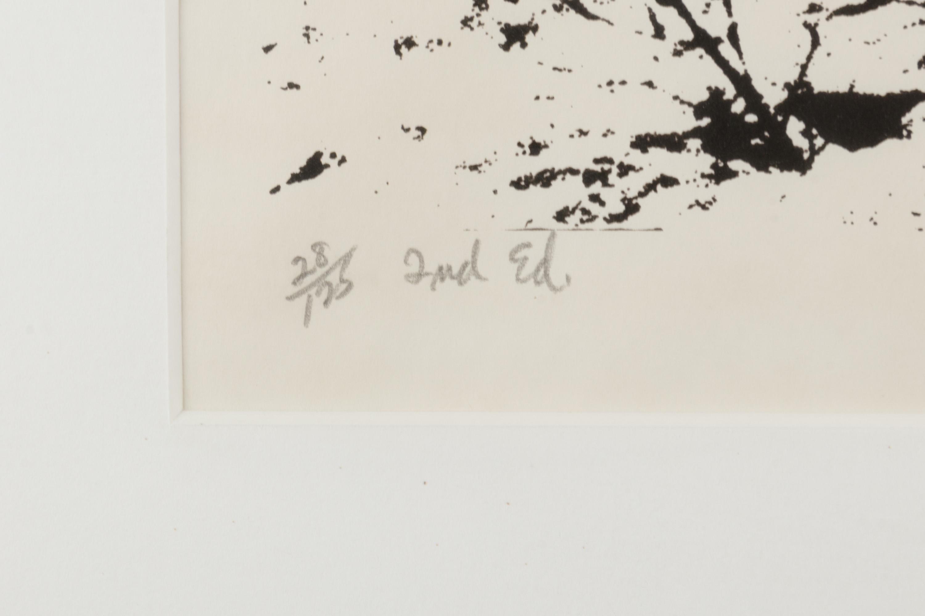Mountain Grove, 1975 and Sunflowers After, 1972