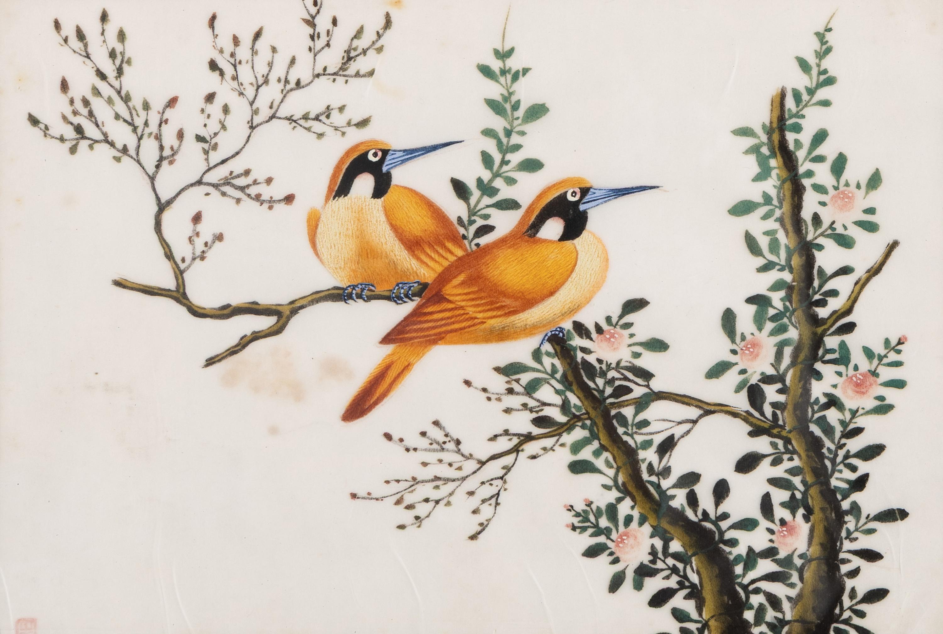 A Set of Twelve Chinese Export Watercolor and Pith Paintings