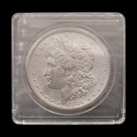 Sixty Morgan $1 Coins
