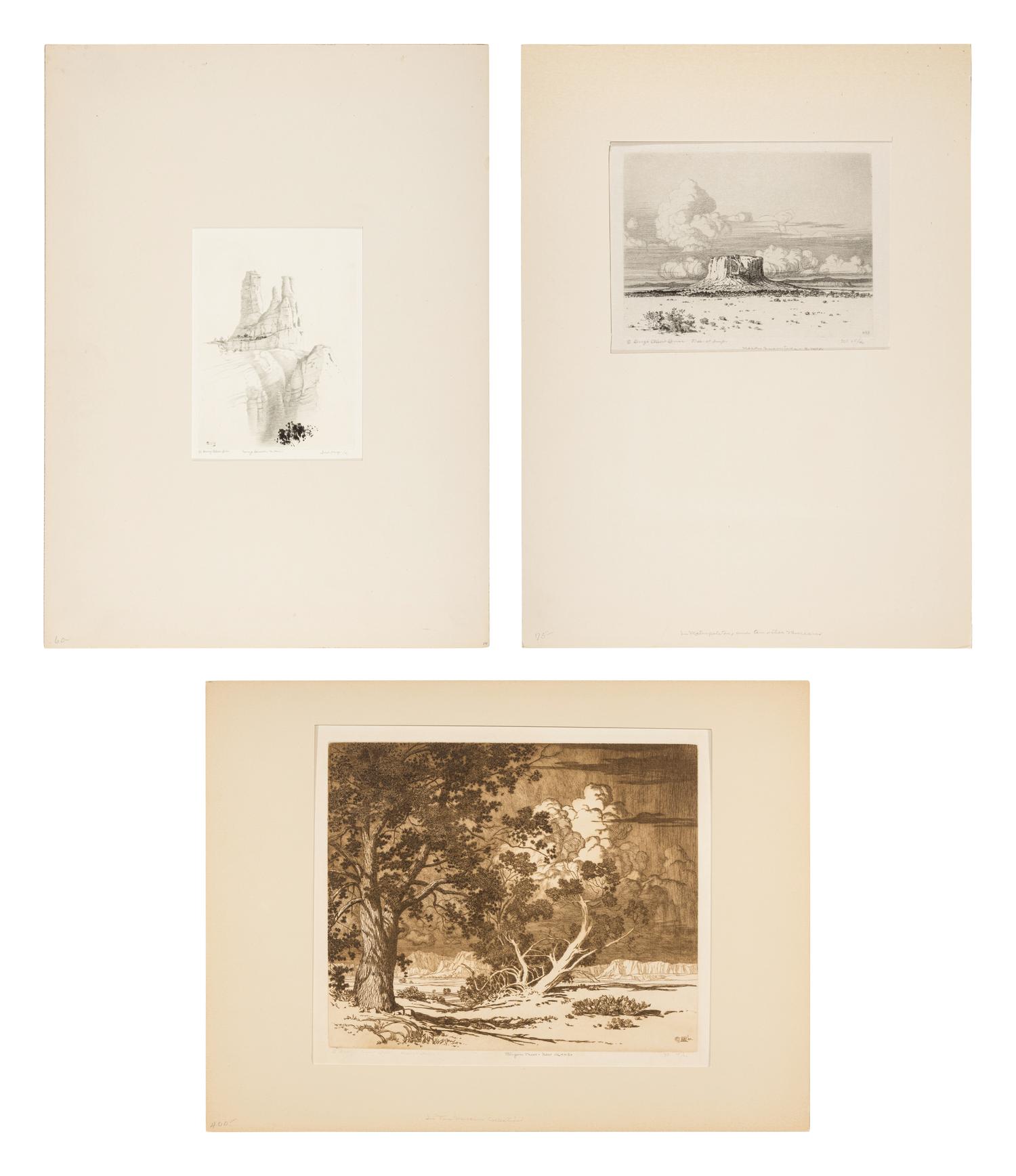 Three Works: Mesa Encantada, N. Mex, Pinon Trees - New Mexico, and Navajo Church