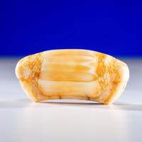 Iñupiat Fossilized Walrus Ivory Ulu Handle