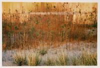 Glen Canyon (complete portfolio of 10)