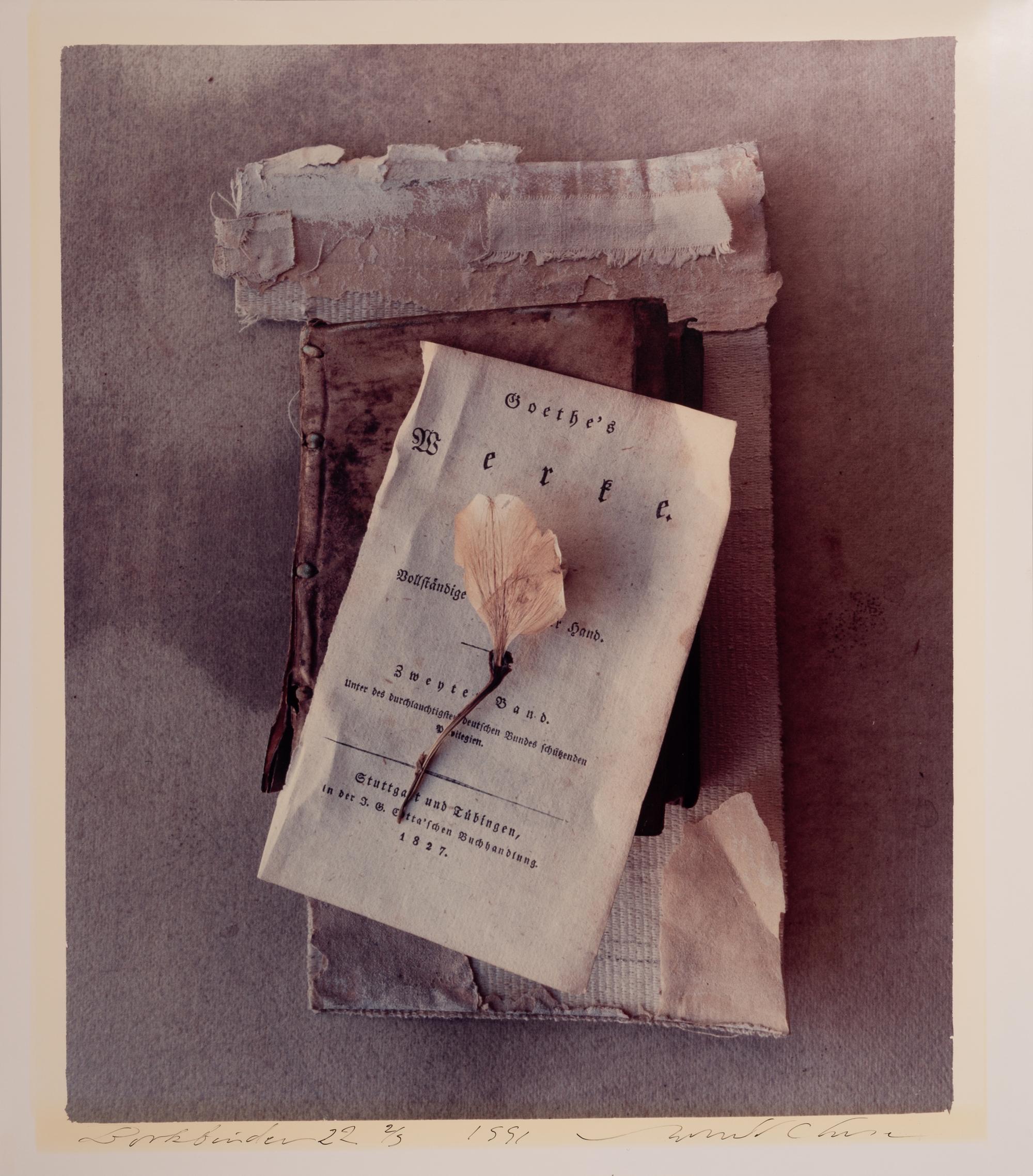 Bookbinder #22 and #25 (two works)