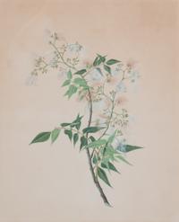 A Pair of Chinese Export Watercolors Visible: 16 x 13 inches.