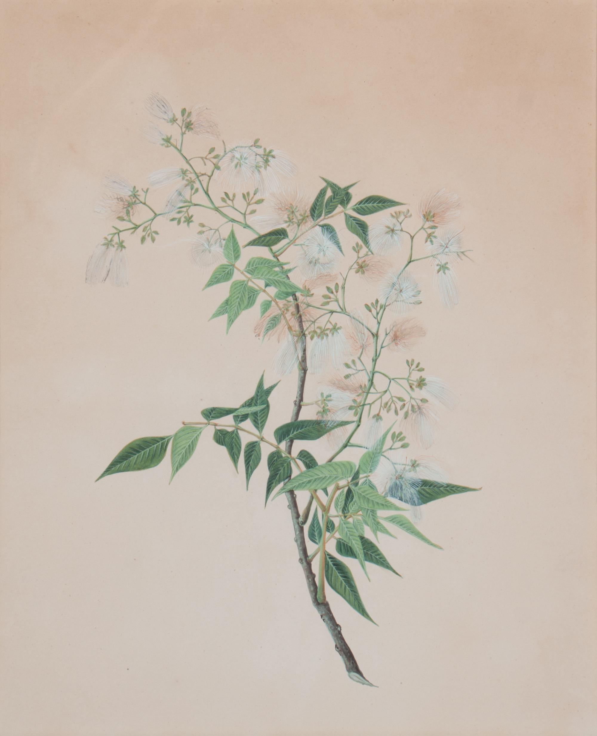 A Pair of Chinese Export Watercolors Visible: 16 x 13 inches.