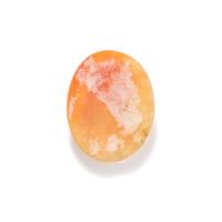 SHELL CAMEO