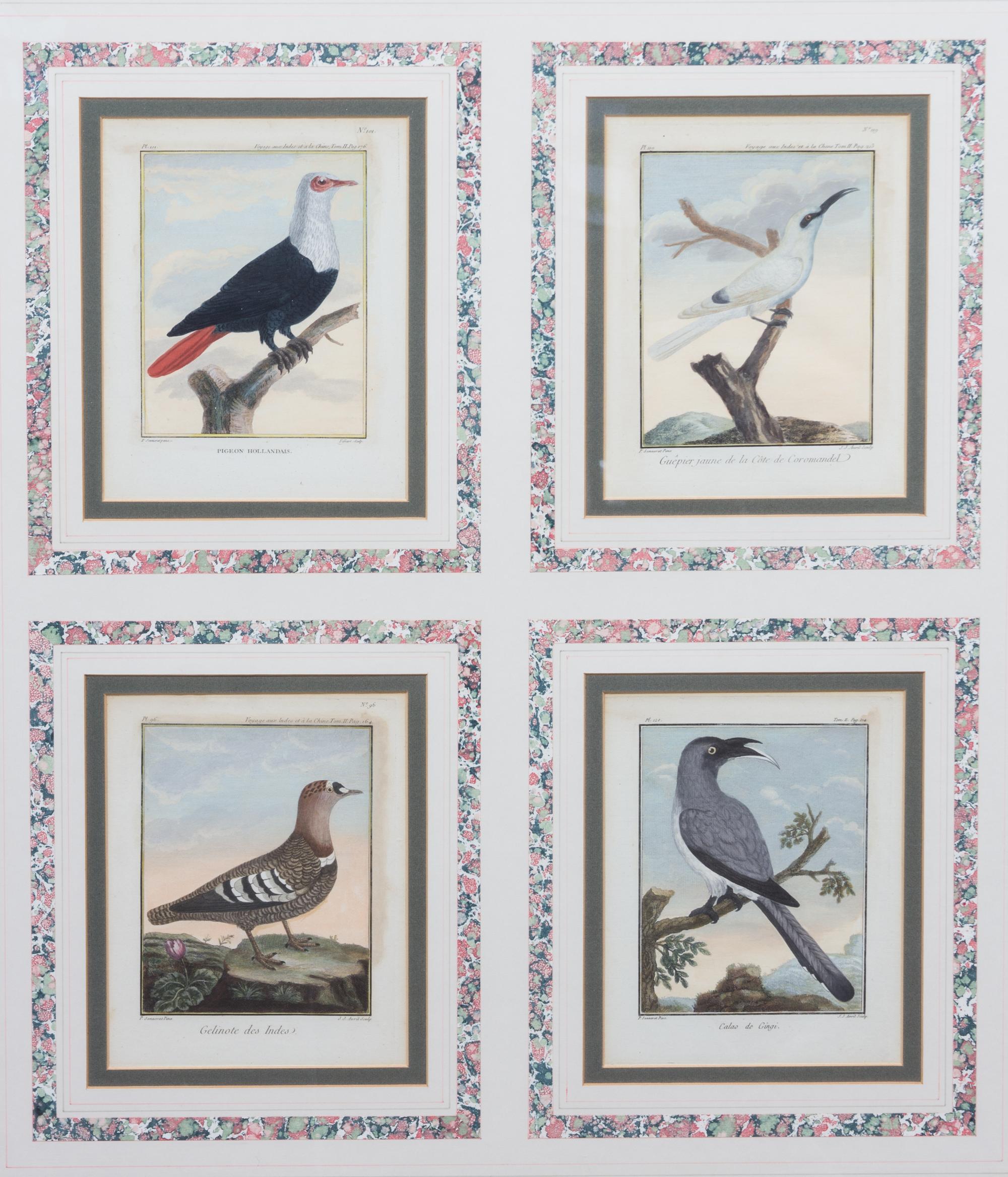 A Collection of Twelve Hand-Colored Ornithological Prints Height of each plate 9 1/2 x width 7 1/4 inches.