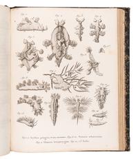 CUVIER, Georges L. C., Baron (1769-1832). A sammelband of 16 articles originally appearing in the Annales du Museum d'Histoire Naturelle . Paris, ca 1802-1815. Comprising: