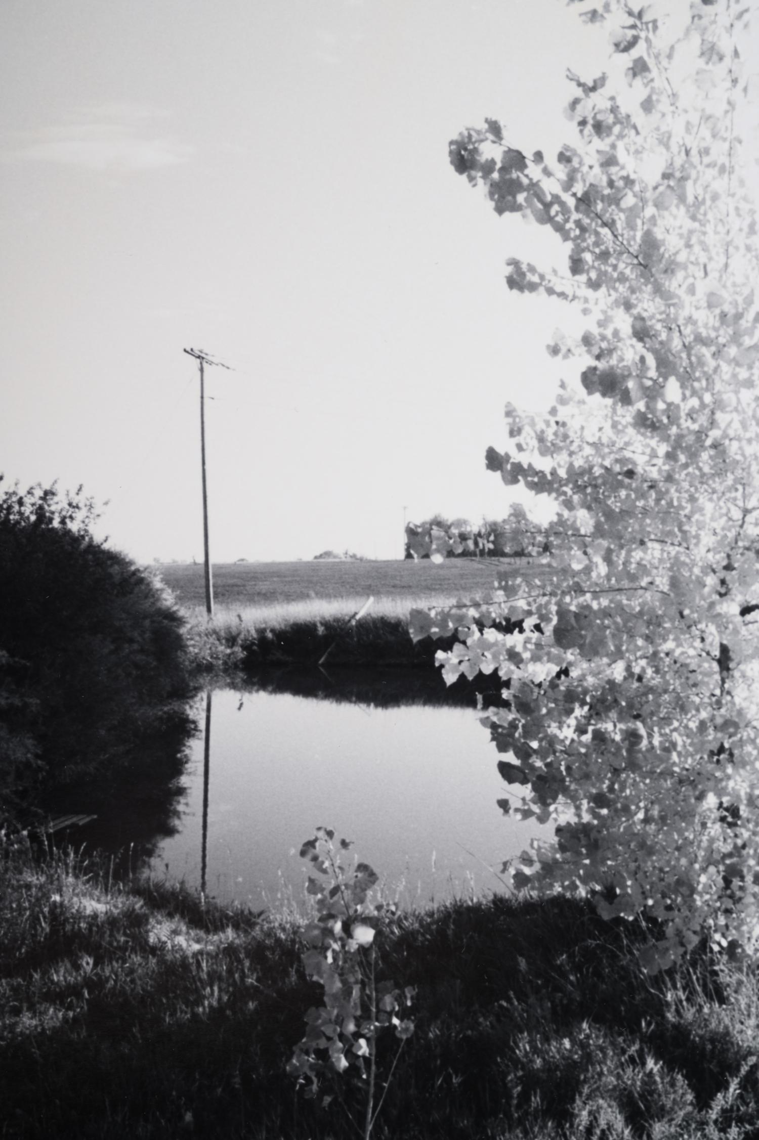 A group of three landscapes