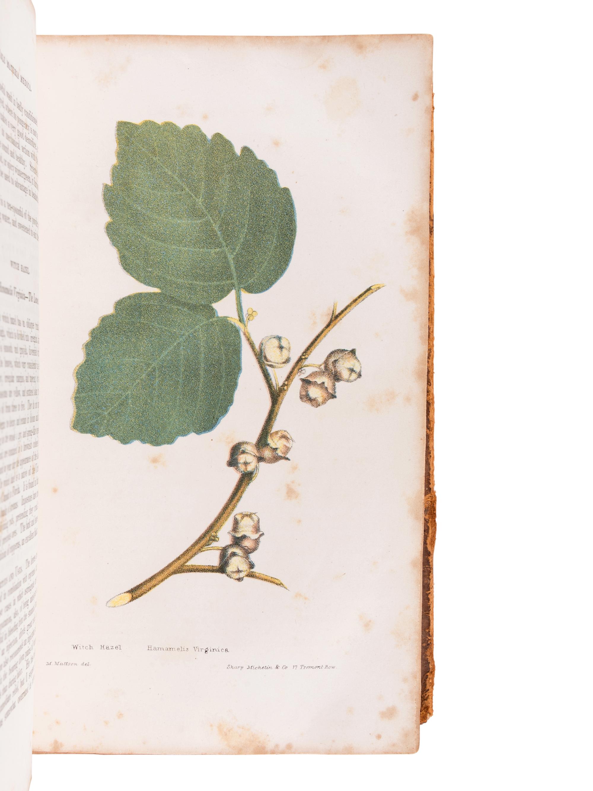 MATTSON, Morris (1809?-1885). The American Vegetable Practice, Or a New and Improved Guide to Health, Designed for the Use of Families. Boston: Daniel L. Hale, 1841.