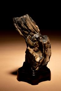 A Small Petrified Wood Scholar's Rock