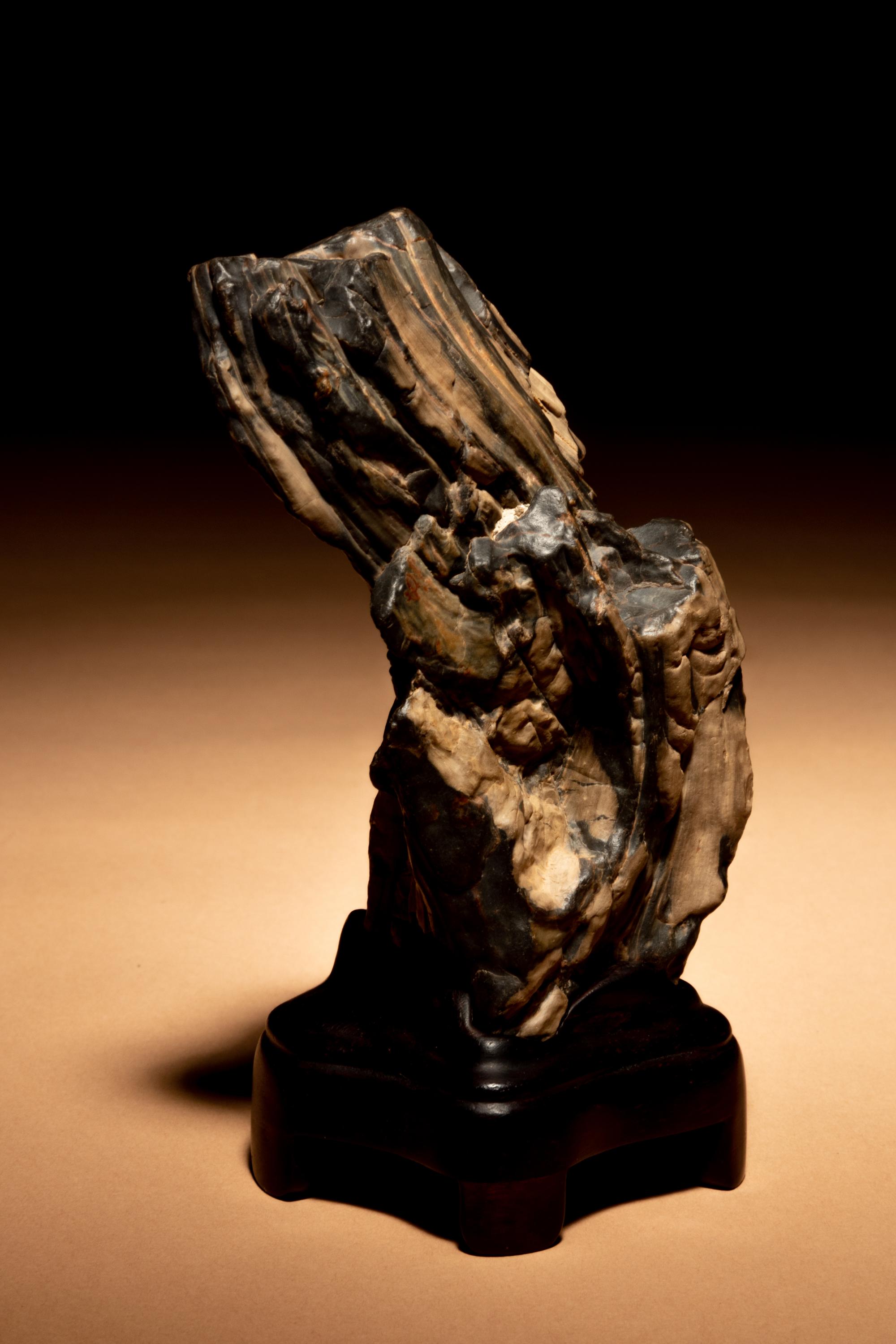 A Small Petrified Wood Scholar's Rock
