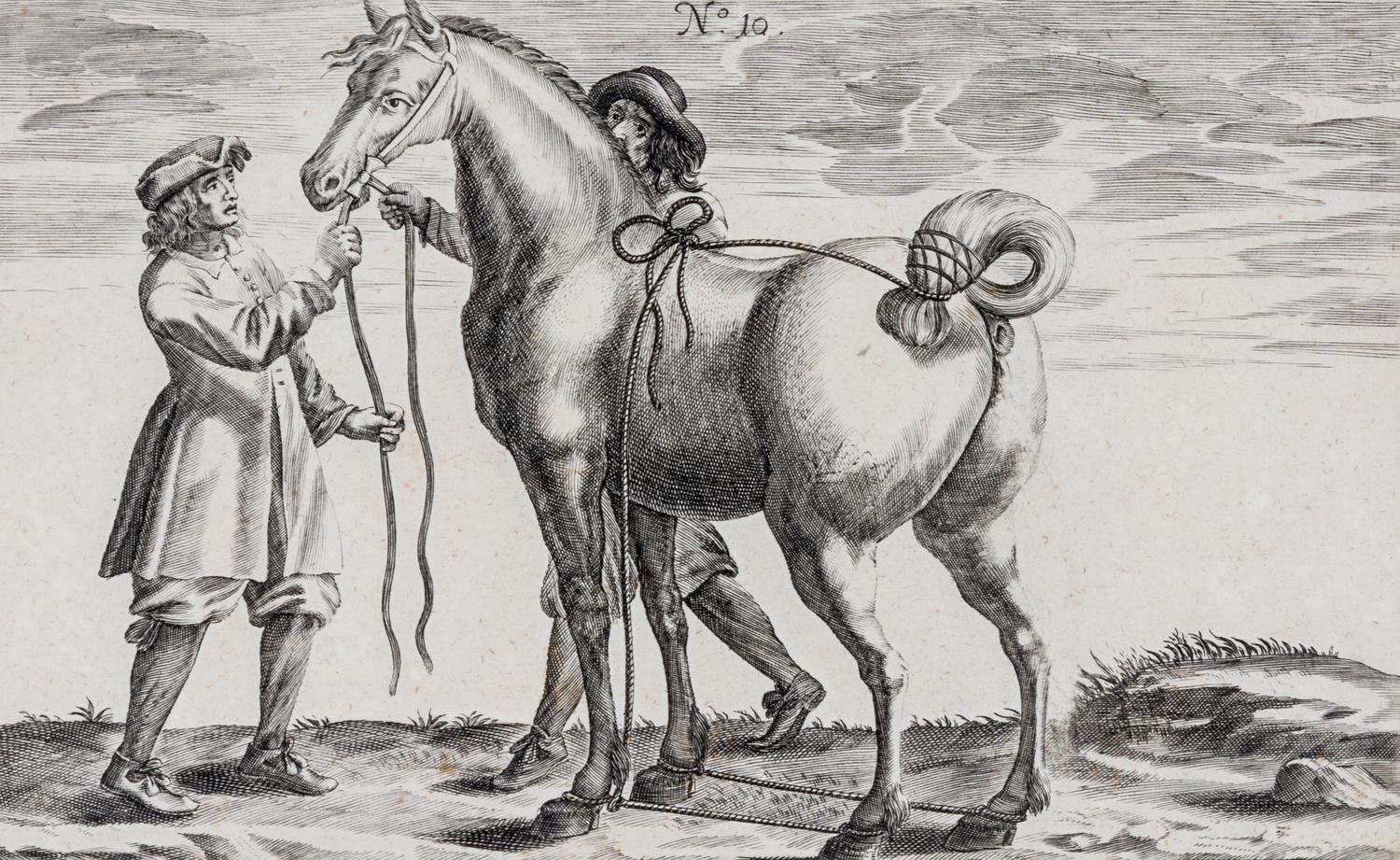 Artists Unknown, (17th/18th century), Horse, Horse and Rider and Horses (three works)