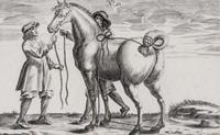 Artists Unknown, (17th/18th century), Horse, Horse and Rider and Horses (three works)