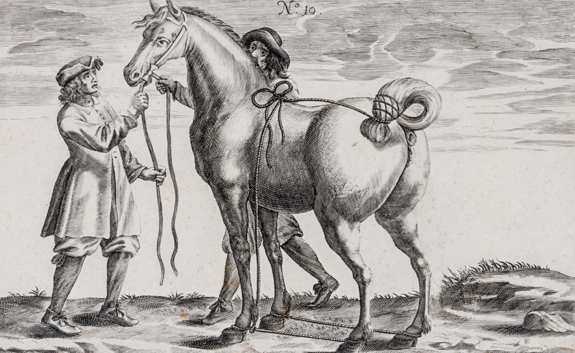 Artists Unknown, (17th/18th century), Horse, Horse and Rider and Horses (three works)