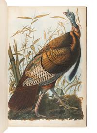 AUDUBON, John James (1785-1851). The Birds of America, from Original Drawings by John James Audubon...Reissued by J [ ohn ] W [ oodhouse ] Audubon . New York: Roe Lockwood & Son, 1860.