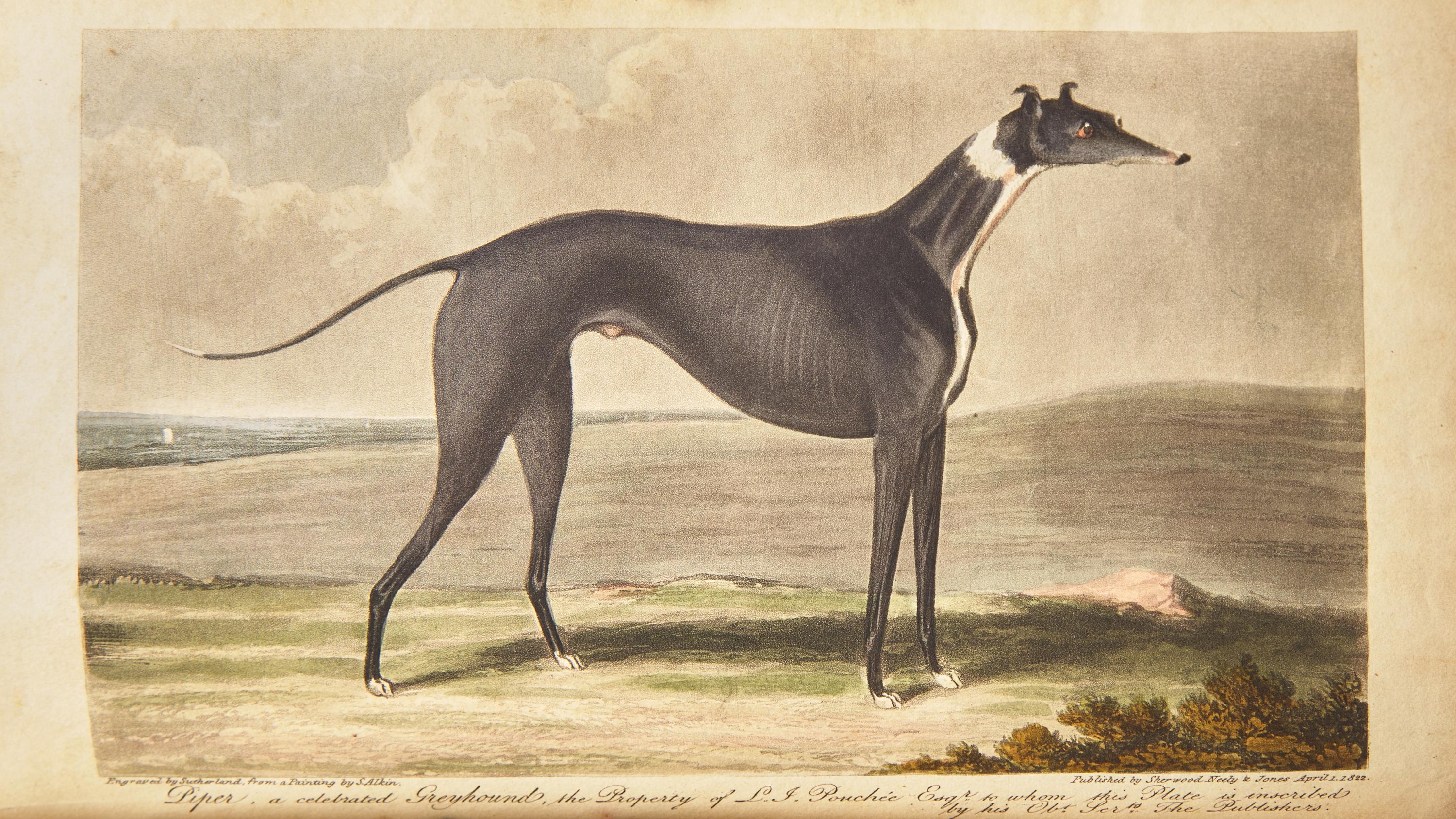[Sporting] The Annals of Sporting and Fancy Gazette; A Magazine, Entirely Appropriated to Sporting Subjects and Fancy Pursuits; Containing every Thing Worthy of Remark on Hunting, Shooting, Coursing, Racing, Fishing, Cocking, Pugilism, Wrestling, Singlestick, Pedestrianism, Cricket, Billiards, Rowing, Sailing, &c., &c...