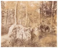 Eugene Atget (French, 1857-1927) — Fontainebleau