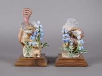 A Pair of Royal Worcester Dorothy Doughty Birds, Canyon Wren, Height 8 1/2 inches.