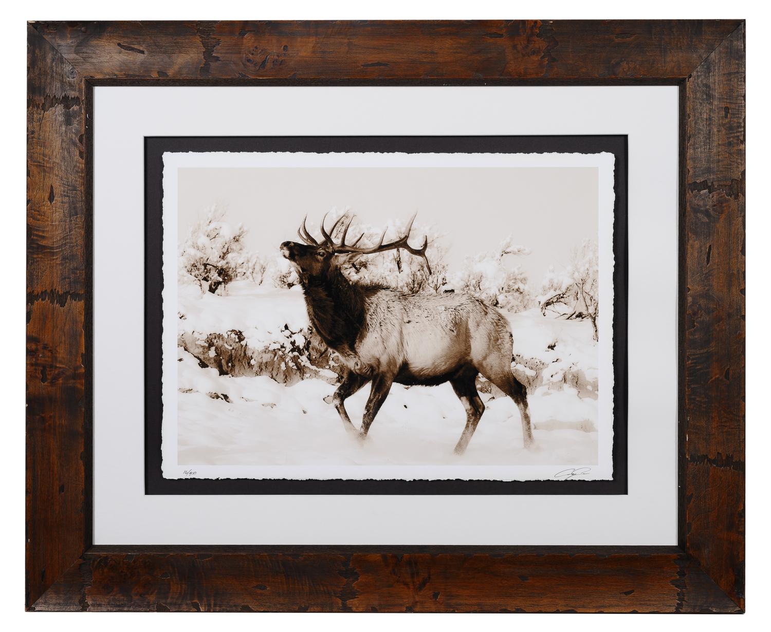 A Group of Four Framed Photographs