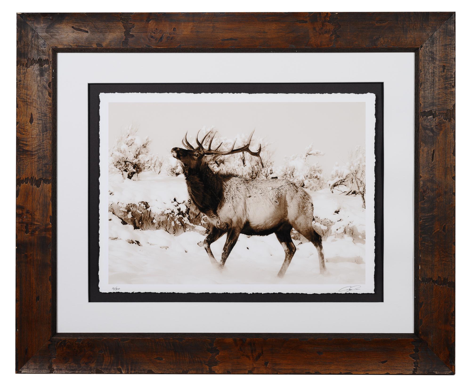 A Group of Four Framed Photographs