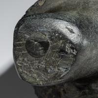 Muskox , Exhibited and Published