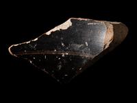 An Attic Black-Figured Fragment