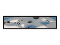 Cosmos Painting