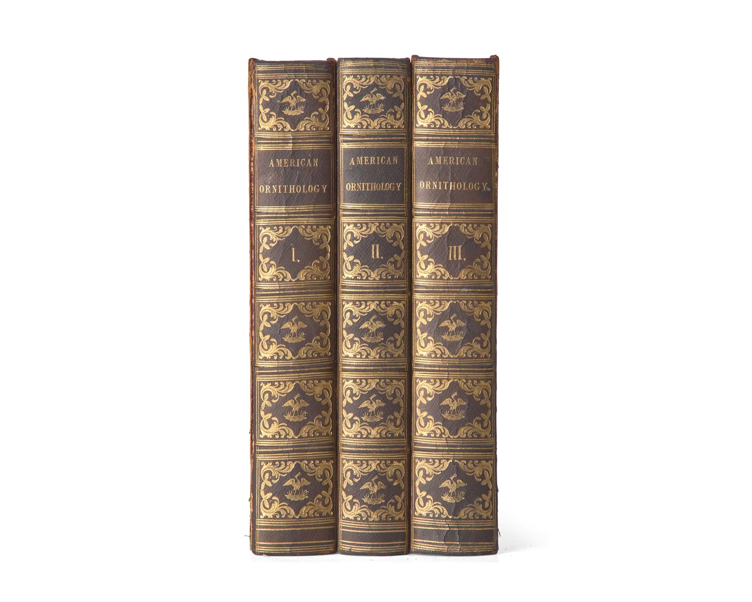 [Natural History] Wilson, Alexander, and Charles Lucian Bonaparte. American Ornithology; or, The Natural History of the Birds of the United States