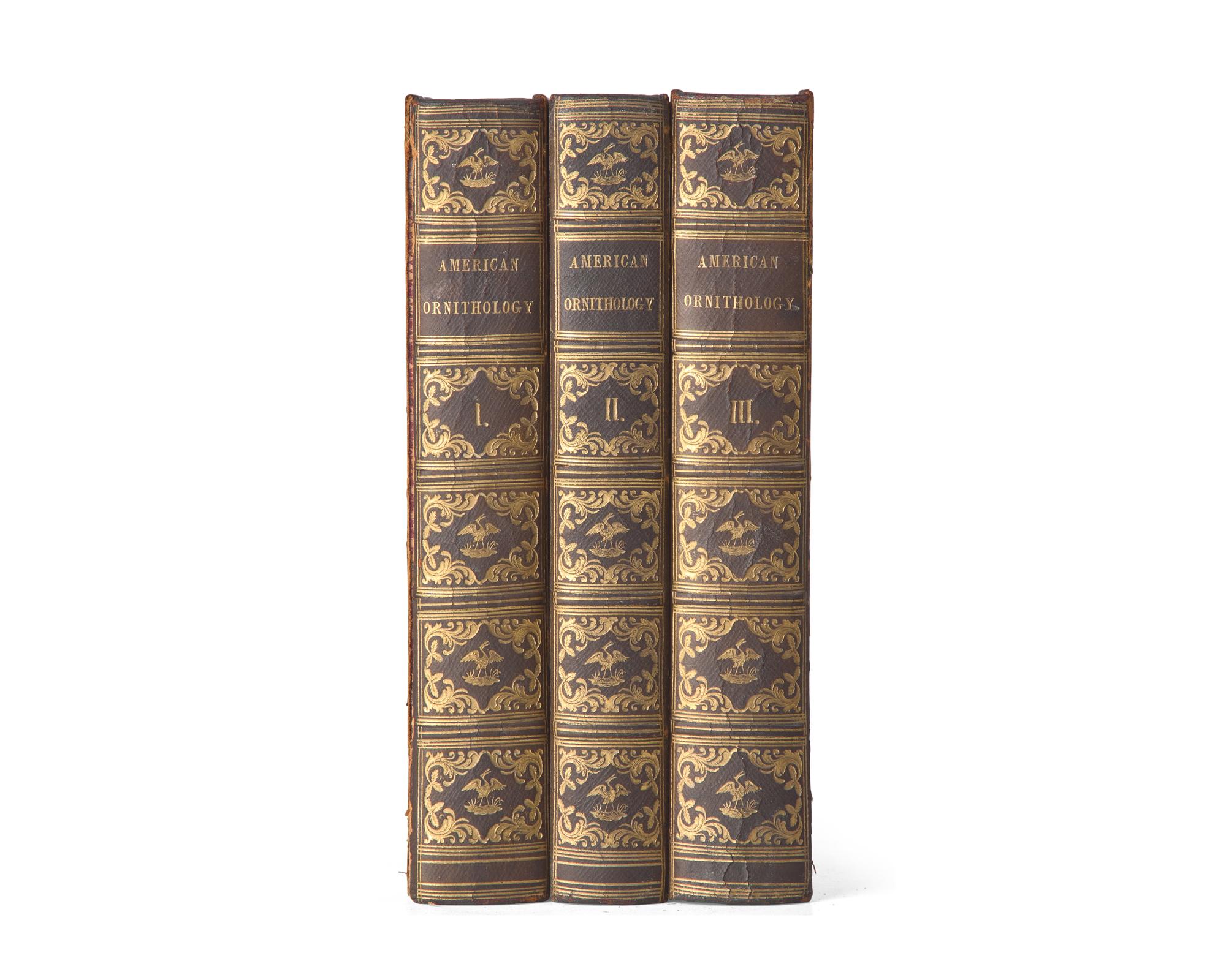 [Natural History] Wilson, Alexander, and Charles Lucian Bonaparte. American Ornithology; or, The Natural History of the Birds of the United States