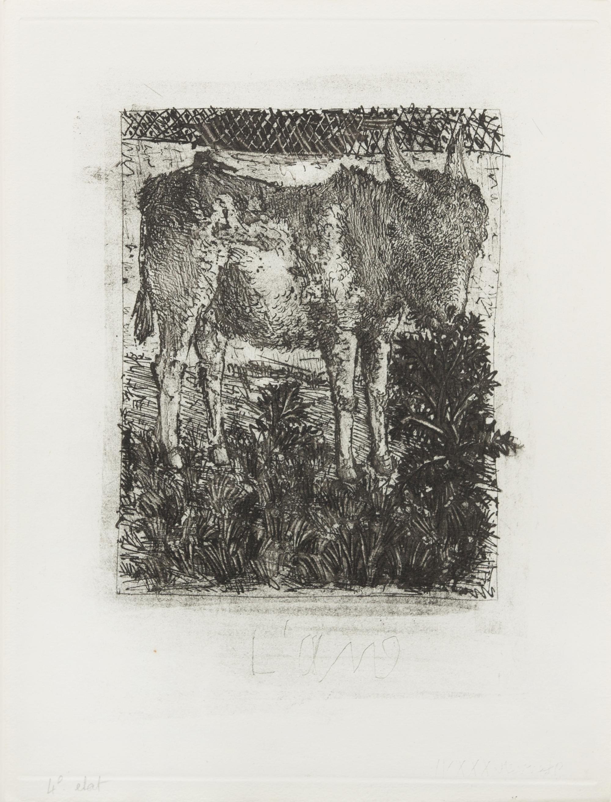 Pablo Picasso, (Spansih, 1881-1973), L'ane (from Buffon's l'Histoire Naturelle), 1942 (a collection of 4 works comprising of states I,