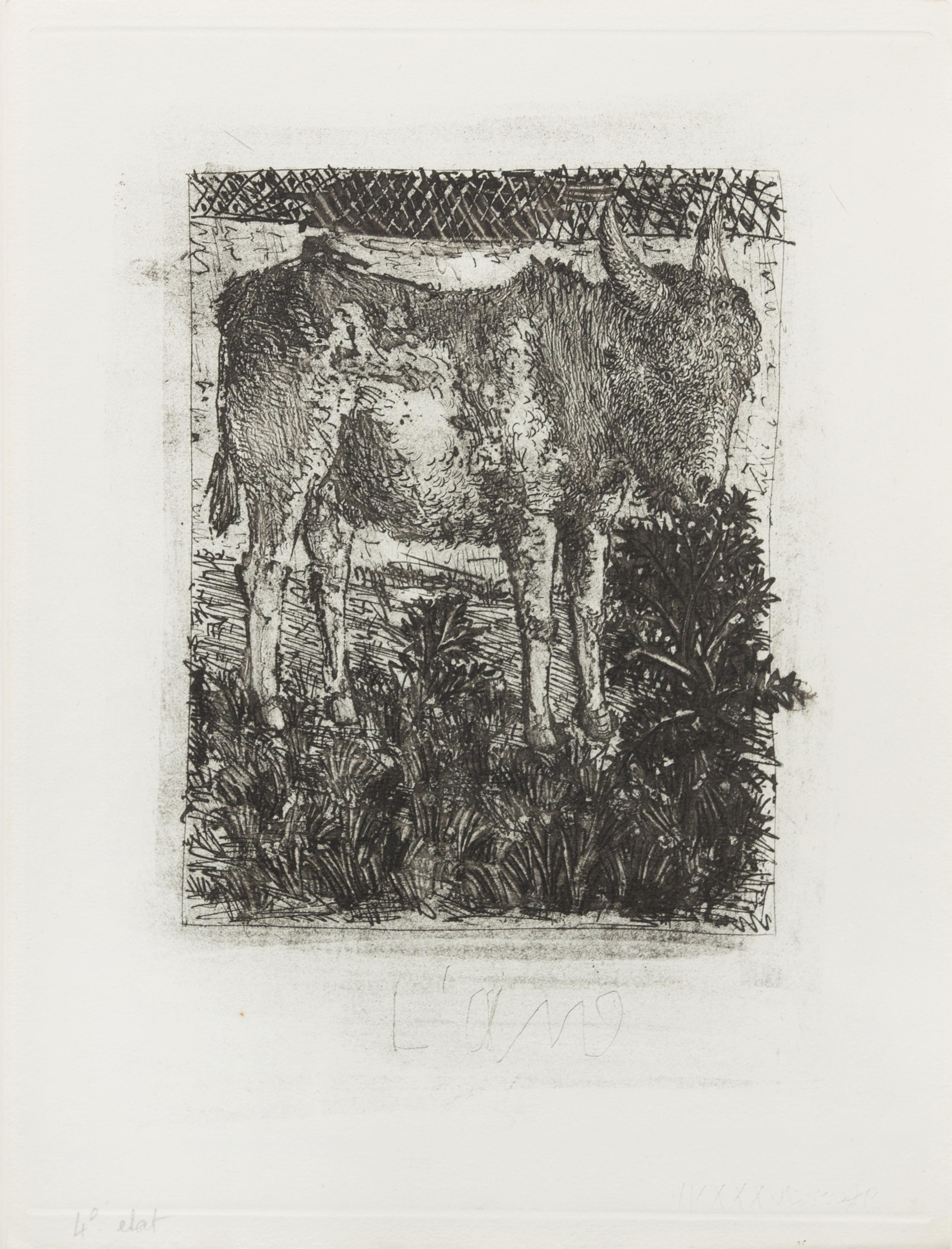 Pablo Picasso, (Spansih, 1881-1973), L'ane (from Buffon's l'Histoire Naturelle), 1942 (a collection of 4 works comprising of states I,